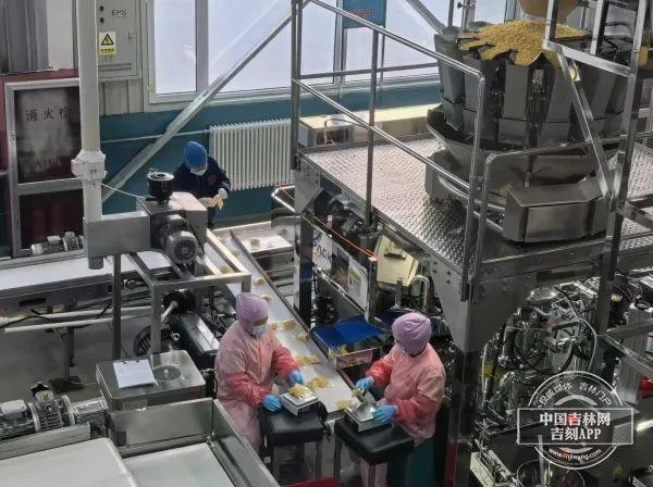 细作 打造区域经济发展新引擎k8凯发国际登录延边州：精耕(图3)