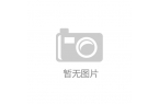 元起镶嵌38颗宝石彰显高端科技魅力徕卡Z